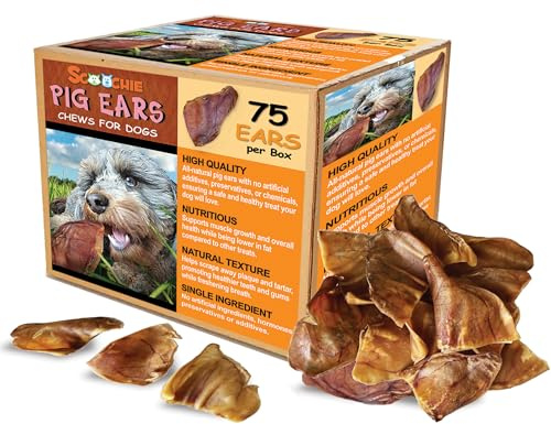 Scoochie Pet Brazilian Pig Ears - All-Natural, 75 Pack Pig Ears for Dogs