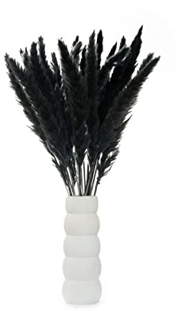 30 Stück Pampasgras schwarz Deko Trockenblumen künstlich Pampas Dekoration Skandi-Deko fluffig Wedel Hochzeit Wohnzimmer Bad Home Hausdeko Tischdeko Vase Eyecatcher