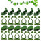 Clip de Fijación de Planta, 60 Soporte de Plantas Autoadhesivo Clips para Plantas Trepadoras, 30 Clip para Plantas y 30 Clips de Pared Invisibles Soporte Plantas, Clips para Plantas