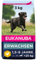 Eukanuba Chien Adulte Nourriture sèche Pour Grande Race Poulet 3kg