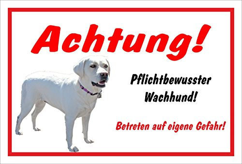 Melis-Folienwerkstatt Schild Warnschild Achtung Labrador – Pflichtbewusster Wachhund - Hund Hundeschild 30x20cm Hartschaum Aluverbund -S27B