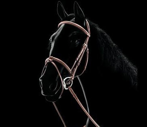 Equiline kombinierte Trense BJ104, schwarz, Größe:COB