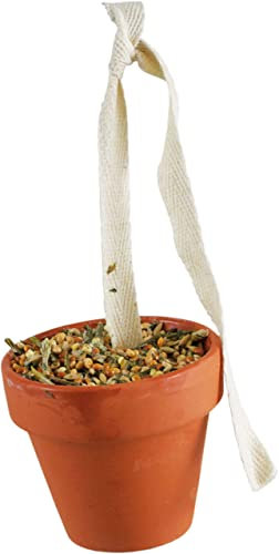 JR FARM Birds Tontöpfchen Wellensittich & Kanarien 80 g