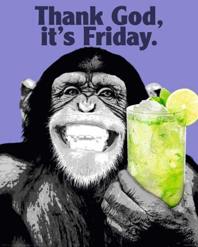 The Chimp - Friday Tier Plakatkunst Animal Mini Poster Plakat Druck - Grösse 40x50 cm