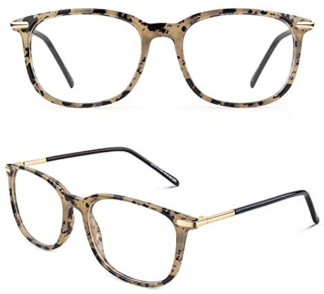 CGID CN79 Klassische Nerdbrille ellipse 40er 50er Jahre Pantobrille Vintage Look clear lens,Spot