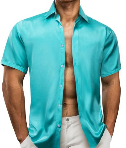 Barry.Wang Mens Short Sleeve Shirt Solid Silky Casual Button Summer Wedding Party Lightweight Dress Shirt Blue S-3XL