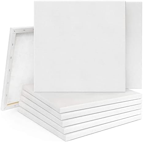 Holdfiturn 20PCS 20x20cm Blank Artist Canvas Art Board Plain Painting Stretched Framed for Painting Enthusiast