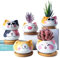 YINUOWEI Vasi per piante grasse con drenaggio da 3,6 cm, mini gatti per piante, piccoli animali in ceramica, vasi da fiori, cactus finto vaso con vassoio in bambù, confezione da 6