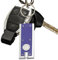 Porte-clés lumineux – Petite lampe de poche | Porte-clés LED | lampe torche d'extérieur ultra lumineuse légère pour l'extérieur, le camping, les fêtes, la randonnée