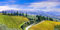 adrium Holz-Bild 120 x 60 cm: traditionelle toskanische Landschaft. Weinberge und Zypressen. Italien(68962075)
