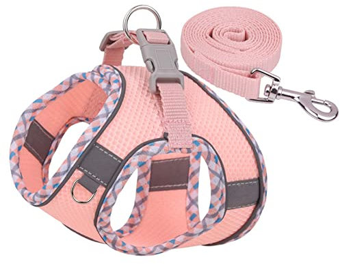Hundegeschirr für kleine, mittelgroße und große Hunde, kein Ziehen, Welpengeschirr und Leine-Set, Hundegeschirr für Spaziergänge, Laufen, Training, kleines Hundegeschirr, Katzengeschirr Verstellbar