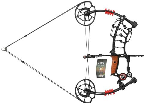 FQH Bogenschießen Compound Bogen Set Pfeil & Kugel Bogen 30-50lb Einstellbare Spannung Für Erwachsene Outdoor-Jagd Ziel Bogenschießen Schießen Training (1* Compound-Bogen)