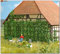 Busch 1264 - Wilder Wein