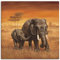 ARTLAND Wanddeko Leinwand Bilder Wandbild Wandbilder 70 x 70 cm Tiere Wildtiere Elefant Malerei Ocker A6ZO Elefanten