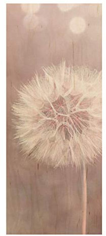 Bilderwelten Holzbild - Pusteblume Bokeh rosa - Panel 80 x 30cm