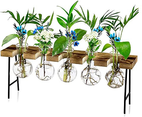 Abledance Stations de propagation Terrarium de bureau, pot de fleurs en verre avec support en bois – Terrarium pour plantes