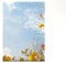 Designpapier Herbst Motivpapier Fallende Blätter, 100 Blatt Briefpapier DIN A4, 90g/qm