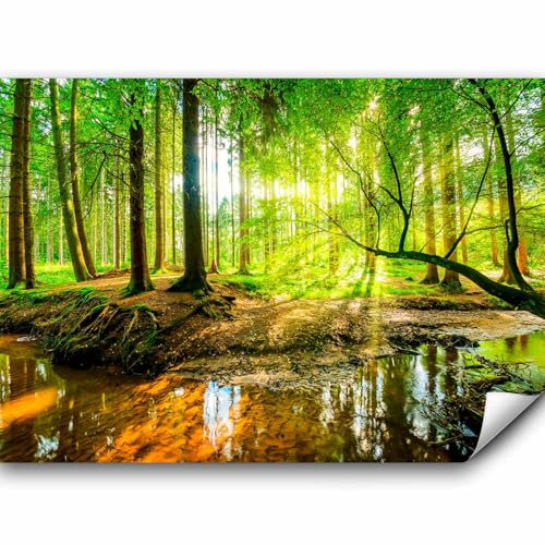 murando - Vlies Fototapete Wald 300x210 cm - Foto Tapete Schlafzimmer Wohnzimmer Moderne Vliestapete XXL Wandtapete Motivtapeten Bildtapete 3d Effekt Wand Dekoration - Sonnenschein c-B-0241-a-a