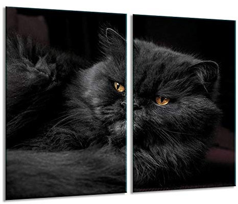 Herdabdeckplatten Ceranfeldabdeckung Spritzschutz Glas 2x30x52 Katze