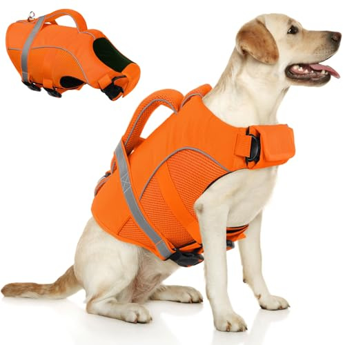 Queenmore Giubbotto Salvagente Cane Regolabile & Riflettente Salvagente Per Cani Piccoli Con Maniglia Di Salvataggio Per Bassotto (Teckel), Cockapoo, Barboncino Toy, Cuccioli, Arancione, S