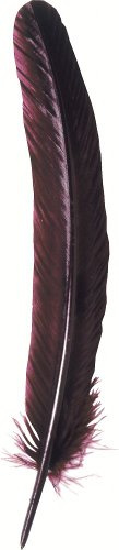 J.Herbin 23126T Packung mit 10 Gänsekiel (28 cm, ideal für Kalligraphie) 1 Pack bordeaux