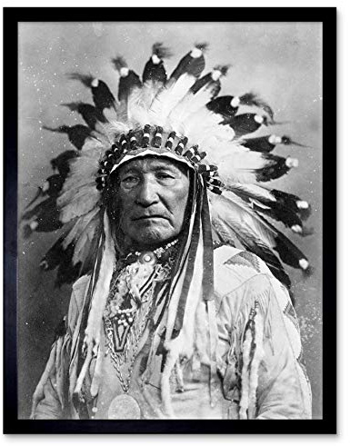 Wee Blue Coo Vintage Native American Dian Mountain Chief Art Print Framed Poster Wall Decor Kunstdruck Poster Wand-Dekor-12X16 Zoll