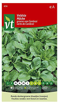 Mâche Verte de Cambrai Graines - Petites feuilles rondes vert foncé en rosettes
