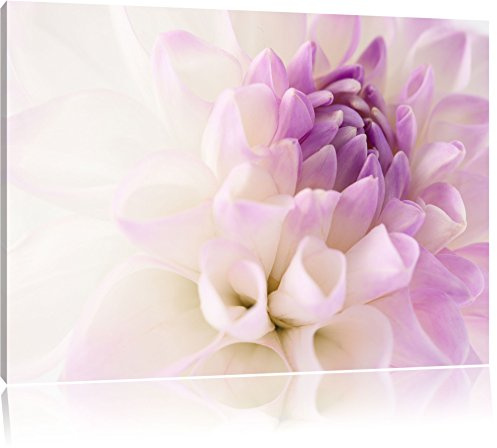 Pixxprint Traumhafte lila weiße Blüte, Größe: 60x40cm, Leinwandbild, fertig gespannt, Wandbild, Dekoration, Kunstdruck, kein Poster
