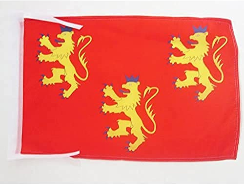 AZ FLAG French Department of Dordogne Flag 45x30 cm 100D Polyester Cords | Indoor and outdoor use Department of France 12x18 in decorative flag double stitched seams and reinforced edges with ties