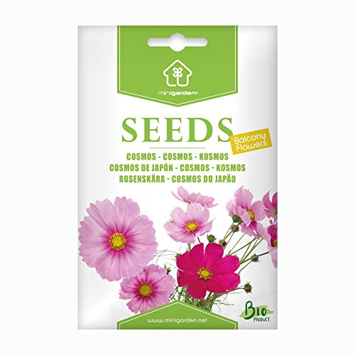 Bio-Kosmos-Samen von Minigarden – 100% natürlich, GVO-frei, bereit zur Aussaat, reproduzierbar – 120–160 Samen