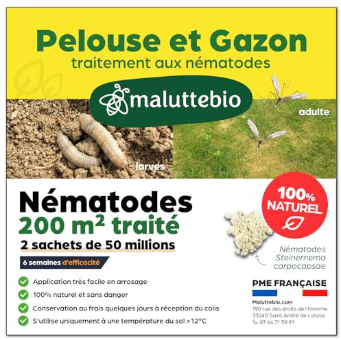 Nématodes pelouse et gazon - Traitement contre les larves de Tipules (vers gris ou Cousin) - 100% naturel. Traite les tâches jaunes du gazon (Pour 200m² (100 millions))