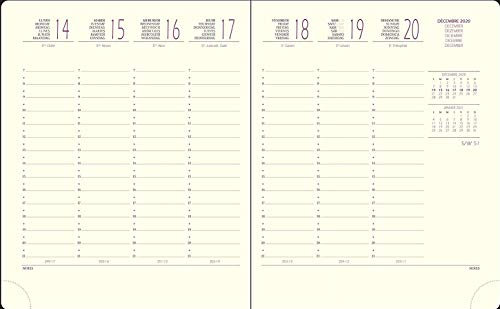 Exacompta - 18842E – Wochenkalender Eurotime 18 – natürliche Scheibe – 15 x 17 cm – Januar bis Dezember 2026