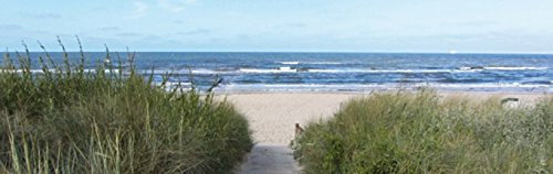 1art1 Strände Weg Zum Meer, 1-Teilig Fototapete Poster-Tapete 250x79 cm