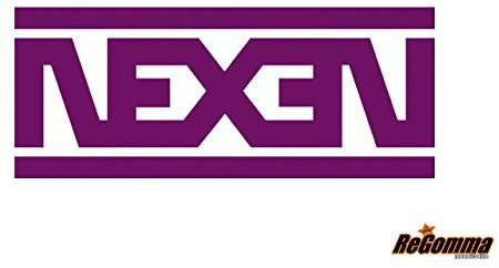 Nexen Win-Ice SUV 245/70 R16 107Q Winterreifen GTAM T204207 ohne Felge