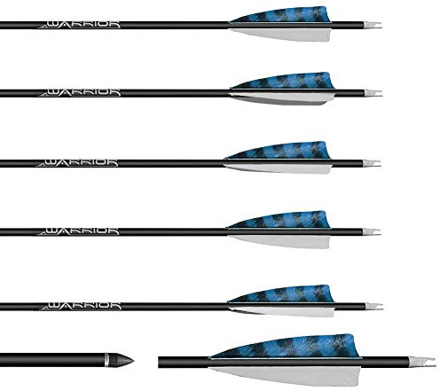 Franks-Castle 6 Stück Gold Tip Warrior Carbonpfeile Spine 400 mit 4 Naturfedern