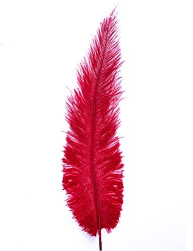 Ostrich Feathers - 10 - 12 / 25cm - 30cm - Pick Quantity / 25 Colours (Red, 2 x Ostrich Feathers)