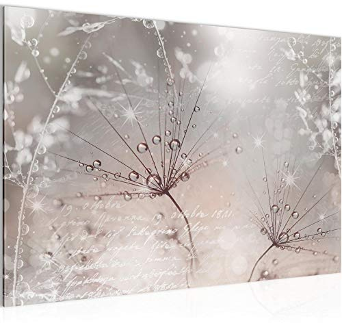 Runa Art Bild Pusteblume Modern Wandbilder Wohnzimmer Schlafzimmer 1 Teilig - Made In Germany - Blumenwiese Rosa Grau Flur 205515b
