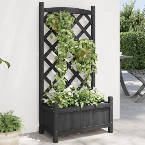 Hovothy Pflanzkübel mit Spalier Gartenbeet 55x29,5x110 cm Pflanzgefäß für Draußen Pflanztopf Pflanzenbeet Schwarz Massives Tannenholz