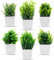 Cexovo Plantes Artificielles Interieur 6 Pièces Mini Plantes Artificielles Verdure Plastique Faux Plantes avec Pot Verdure Artificielle en Plastique pour Bureau Salon Chambre Salle De Bain