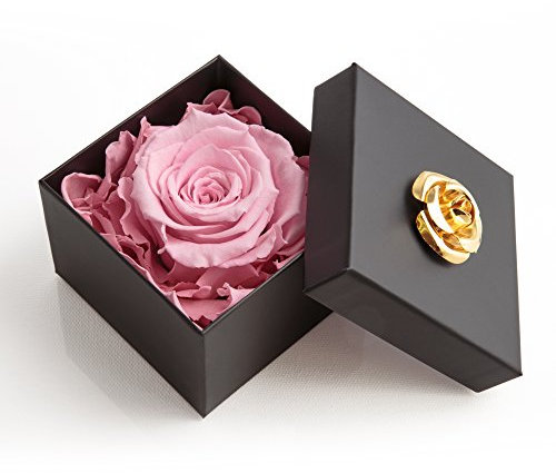 ROSEMARIE SCHULZ Heidelberg Rose éternelle Rose - 8,5x8,5 cm - Fleur Naturelle durée de Vie jusqu'à 3 Ans dans boîte Cadeau à Fleurs pour Femme