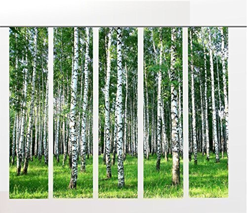 gardinen-for-life Flächenvorhang Birkenwald Set, 5 Frühlings - Schiebevorhänge, Höhe 2,45 m