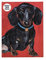 Talking Tables 100-piece Red Double-sided Dachshund Dog Jigsaw Puzzle & Poster | Illustrated Pets, Animal, Sausage Dogs | For Kids, Adults, Dogs Lover, Lockdown, Birthday Present
