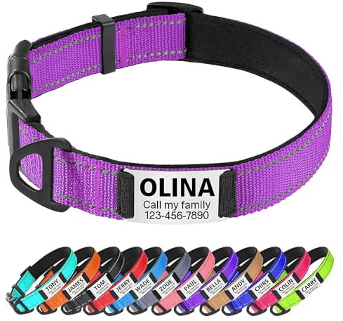 TagME Personalised Dog Collar Reflective Padded Collar for Medium Dogs with Custom Engraved Slide On Name Plate,Purple M