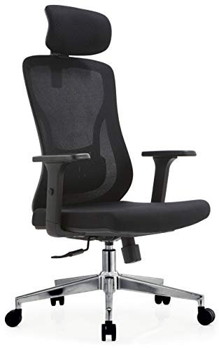 MARTUNIS Ergonomic Office Chair with Lumbar Support, Arms, 3D Armrest (Black)