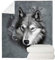 chaqlin Graue Wolfdecke für Jungen Mädchen Weiche Schlafzimmer Bett Couch Outdoor Reisen Camping Überwurf Decke Schlafzimmer Zubehör - 140 x 180 cm