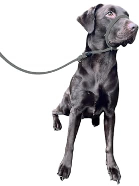 L&J Pets UK All-In-One Figure 8 Anti-Pull Lead/Halter & Head Collar