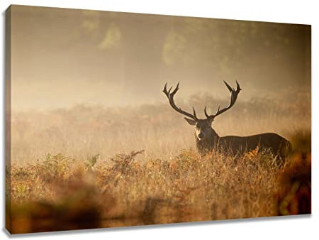 Visario Leinwand Bild Hirsch Nr 4030 80 x 60 cm Leinwand Bild Wanddeko hochwertig Wohnzimmer Büro Druck