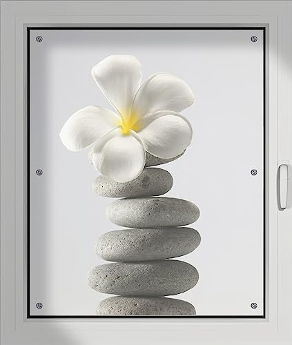 Wallario Lichtschutzbild, Dekorativer Sichtschutz Sonnenschutz 76 x 93 cm mit Motiv: Blume auf gestapelten Steinen - Verdunklungsrollo ohne Bohren