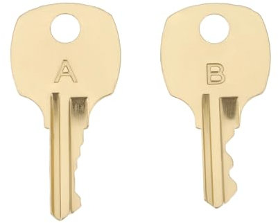 ECSiNG 2 Pezzi Di Chiave Di Ricambio Per Baule In Cedro Compatibile Con Lane Cedar Serie S Serrature Di Sicurezza S83 S84 S85 S86 S87 S88 S89 S90 S99