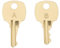 ECSiNG 2 Pezzi Di Chiave Di Ricambio Per Baule In Cedro Compatibile Con Lane Cedar Serie S Serrature Di Sicurezza S83 S84 S85 S86 S87 S88 S89 S90 S99